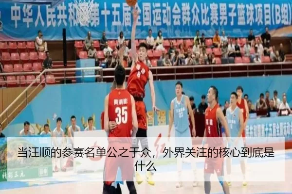 当汪顺的参赛名单公之于众，外界关注的核心到底是什么